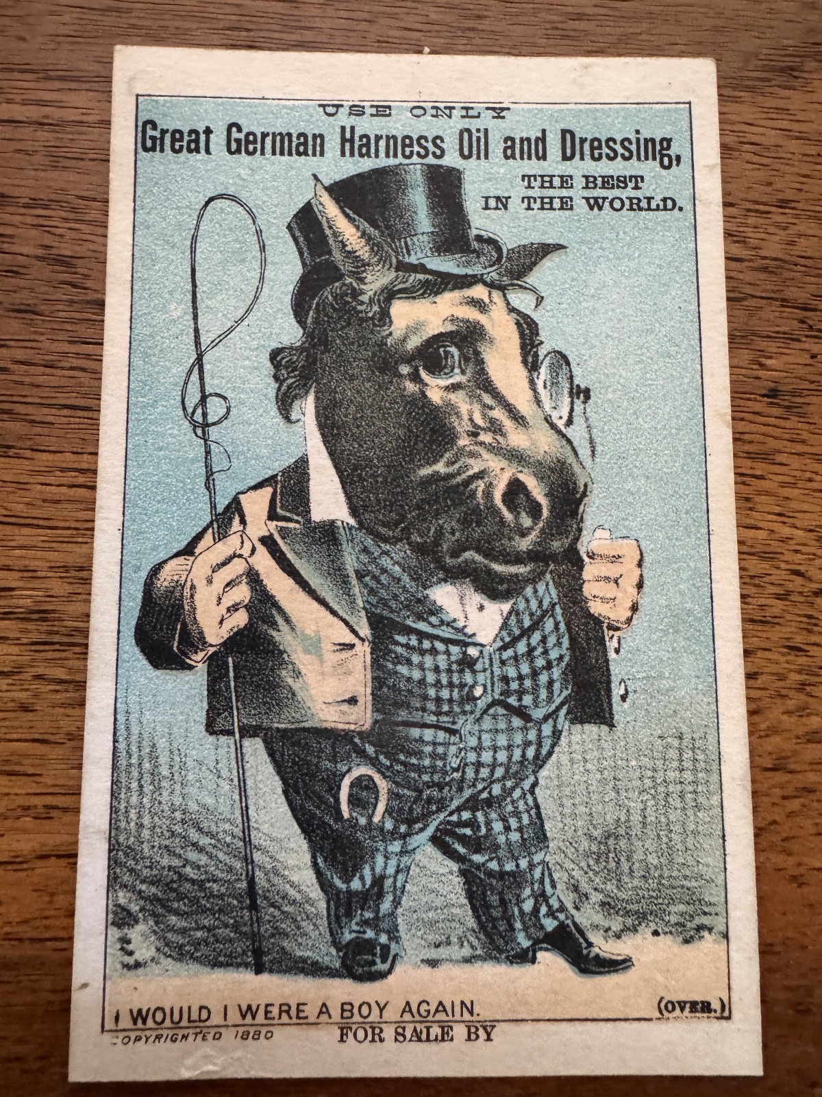Anthropomorphic Horse TC - German Harness Oil